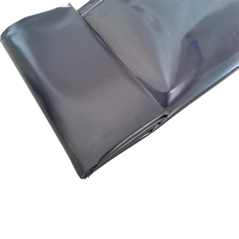 INTBUYING 20'x30' Fish Pond Liner Elasticity HDPE Black Thickness 12mil