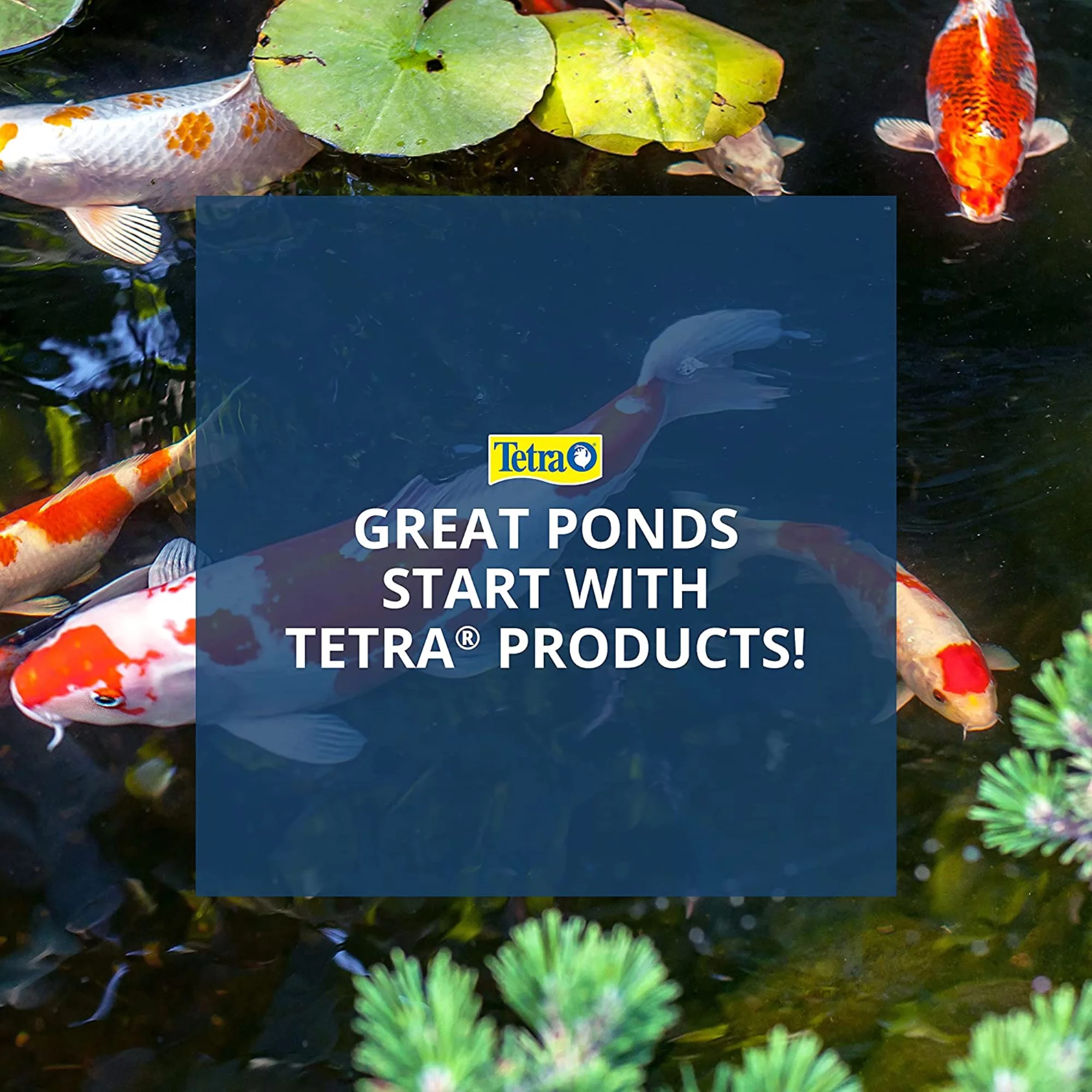 Tetra 16397 Pond Water Clarifier, 16.9 Oz