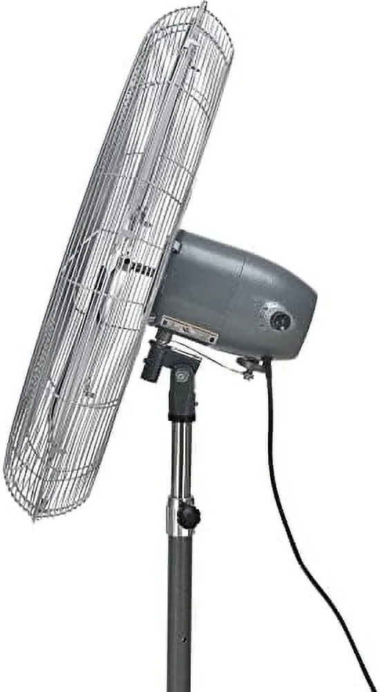 Oscillating Pedestal Fan, 30