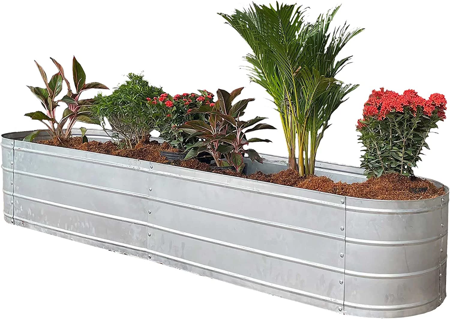 Grapevine PL10156 6A Galvanized Steel Raised Garden Bed, Oval