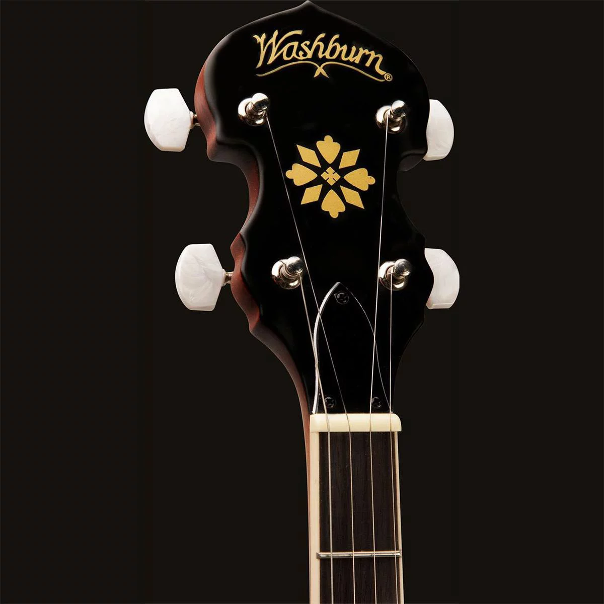 Washburn Guitars Americana B7 5-String Open Back Banjo