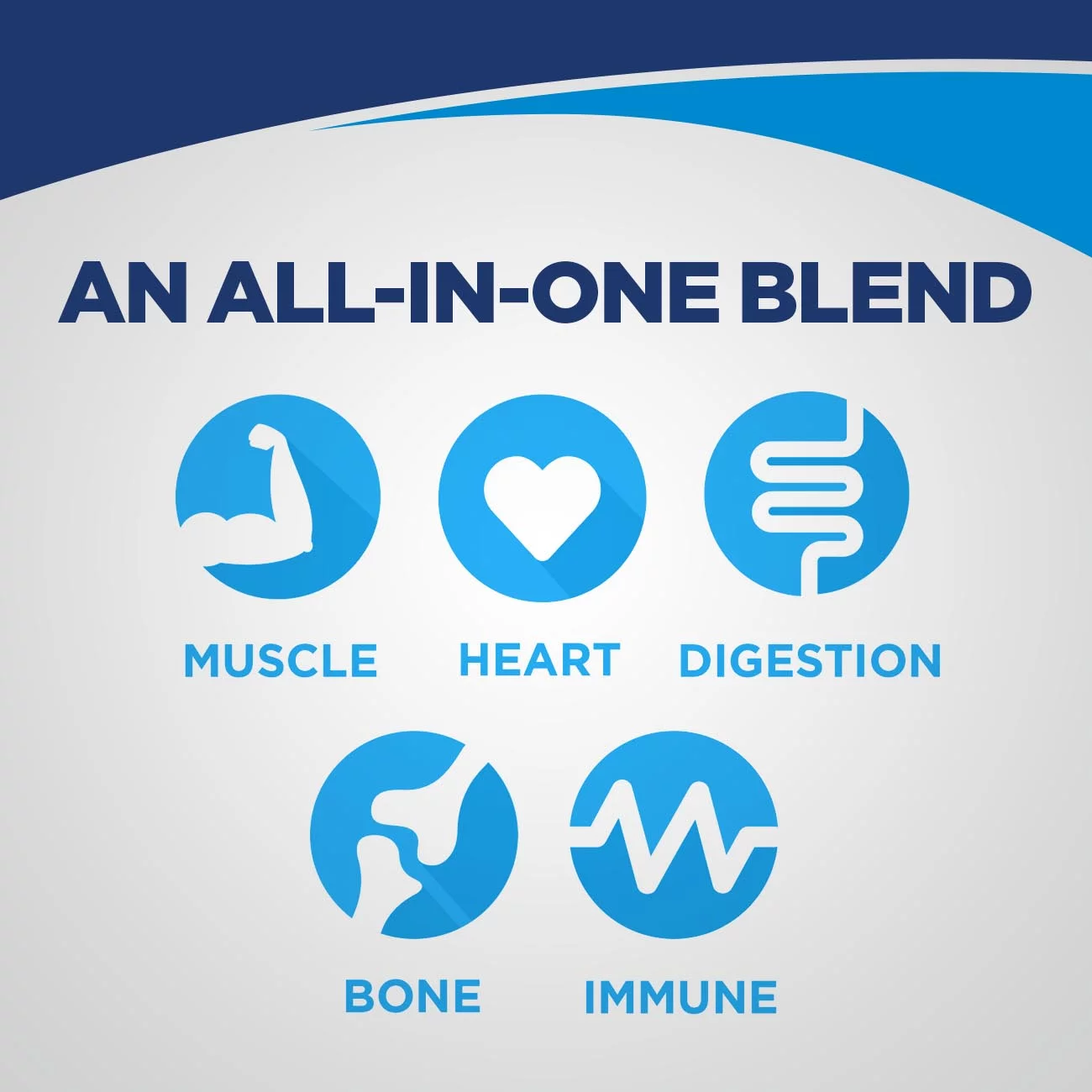 Ensure Enlive Advanced Nutritional Drink, 20 Grams Protein, Milk Chocolate, 8 fl oz, 16 count