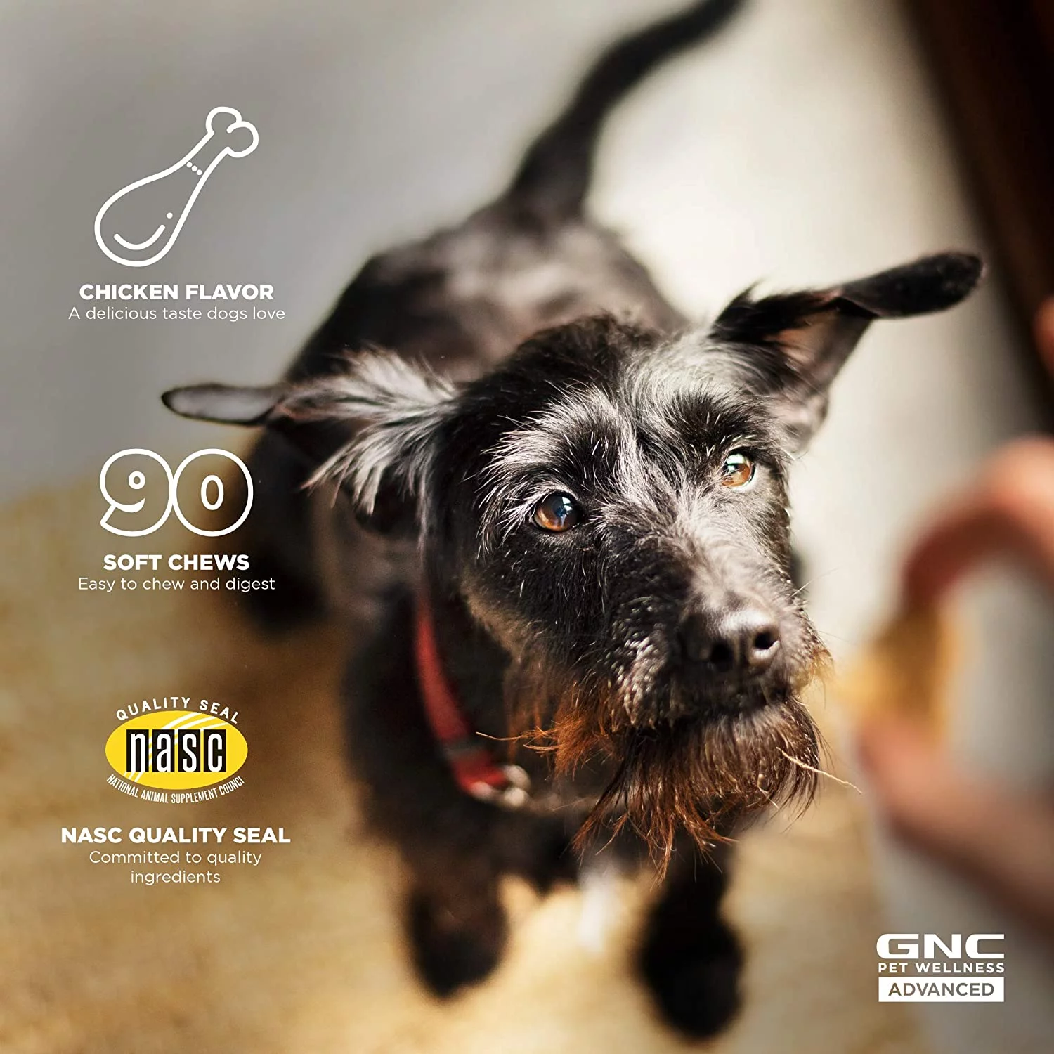 GNC Pets Advanced Supplements, Digestion, All Dog, 90-Ct 3.0g Soft Chews in 20oz