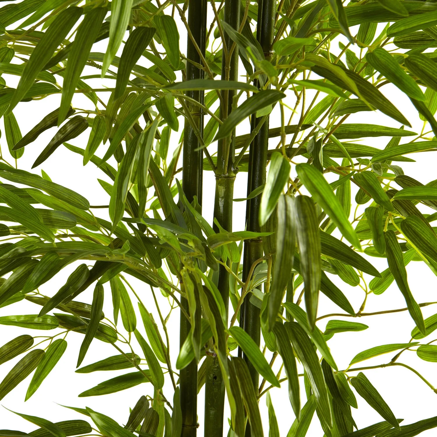 HomeStock Asian Aesthetics 6Ft. Bamboo Tree Uv Resistant (Indoor/Outdoor)