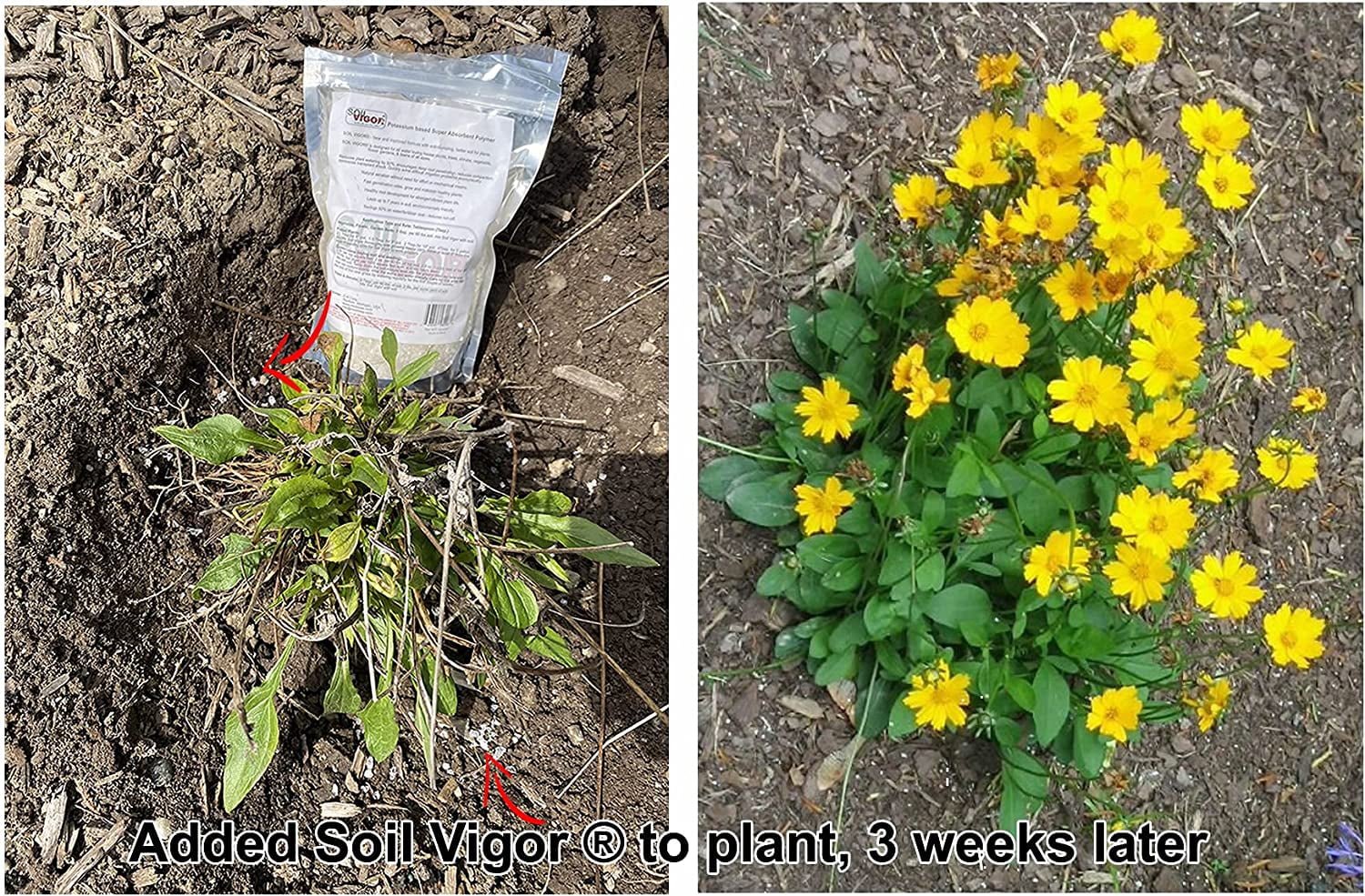 Large Size Potassium Polyacrylate Polymer SAP Water-Holding Crystals Promote Plant Growth 20 Pounds