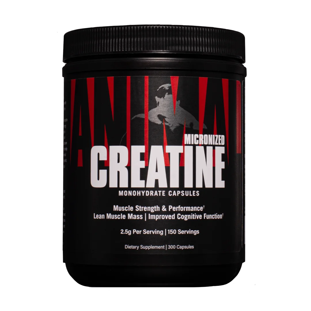 Animal Micronized Creatine – Delay Muscle Fatigue, Enhance Endurance, Boost Strength – Creatine Monohydrate Supplement for Men & Women – 300g
