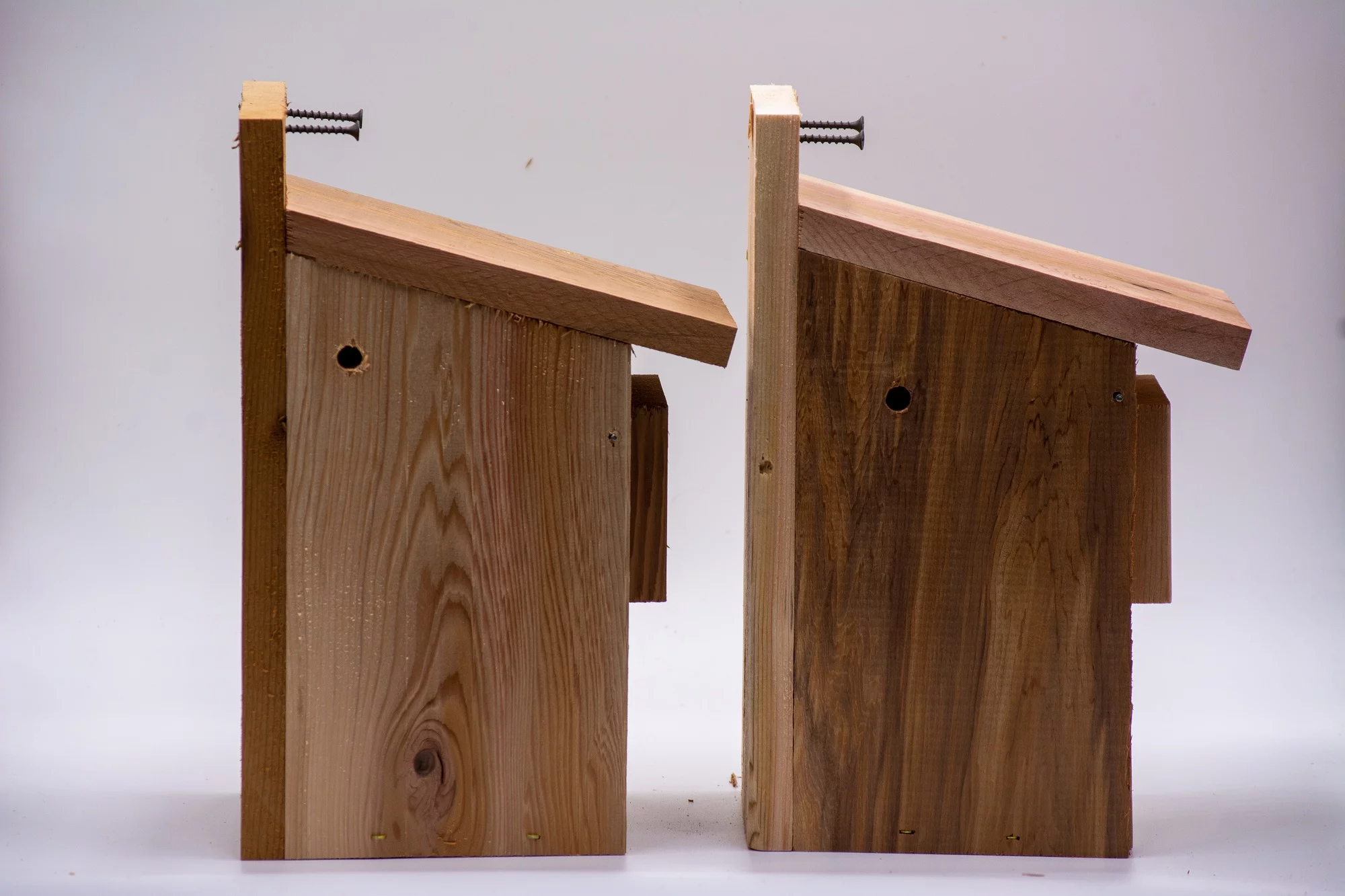 2 bluebird houses