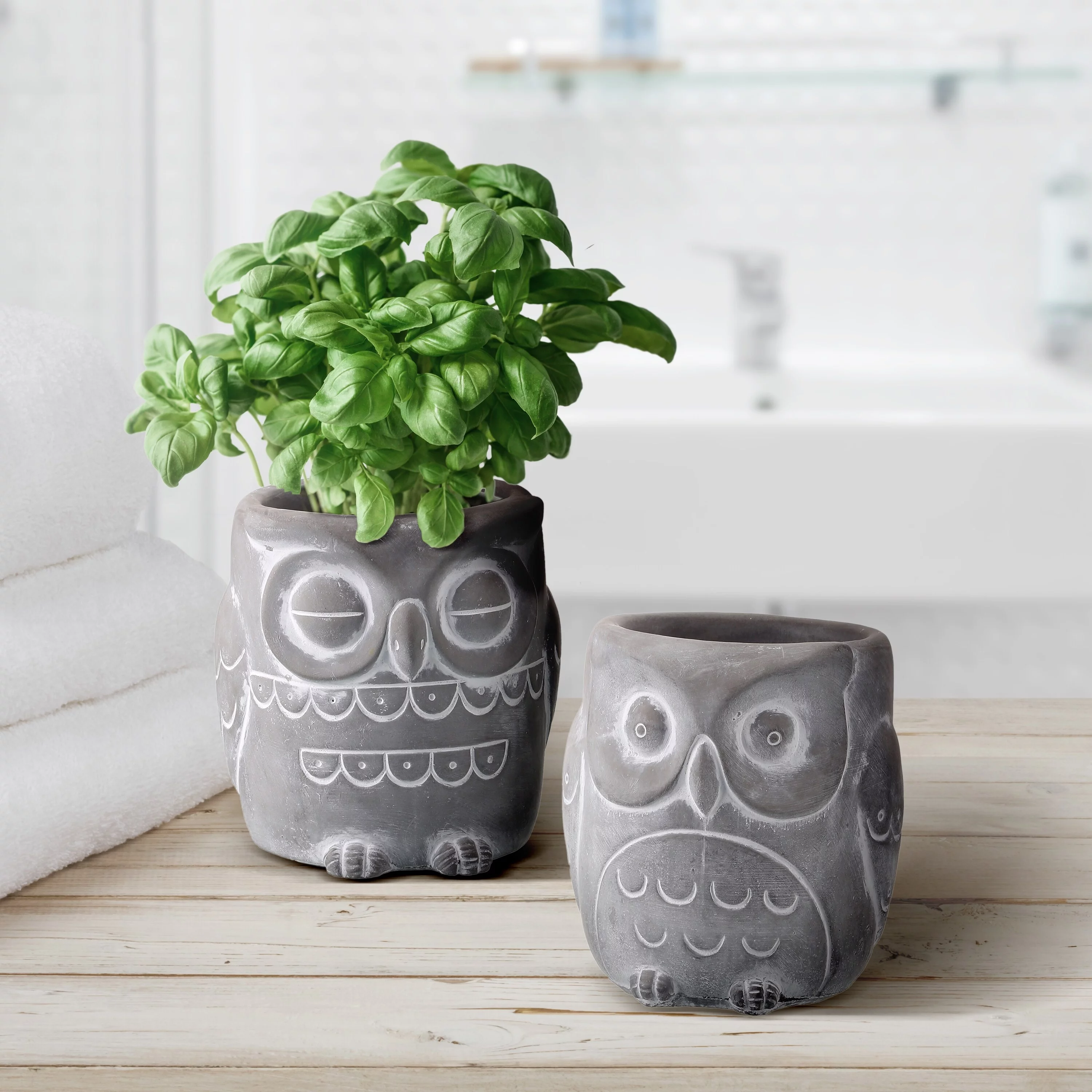 Cement Owl Planter 4.5