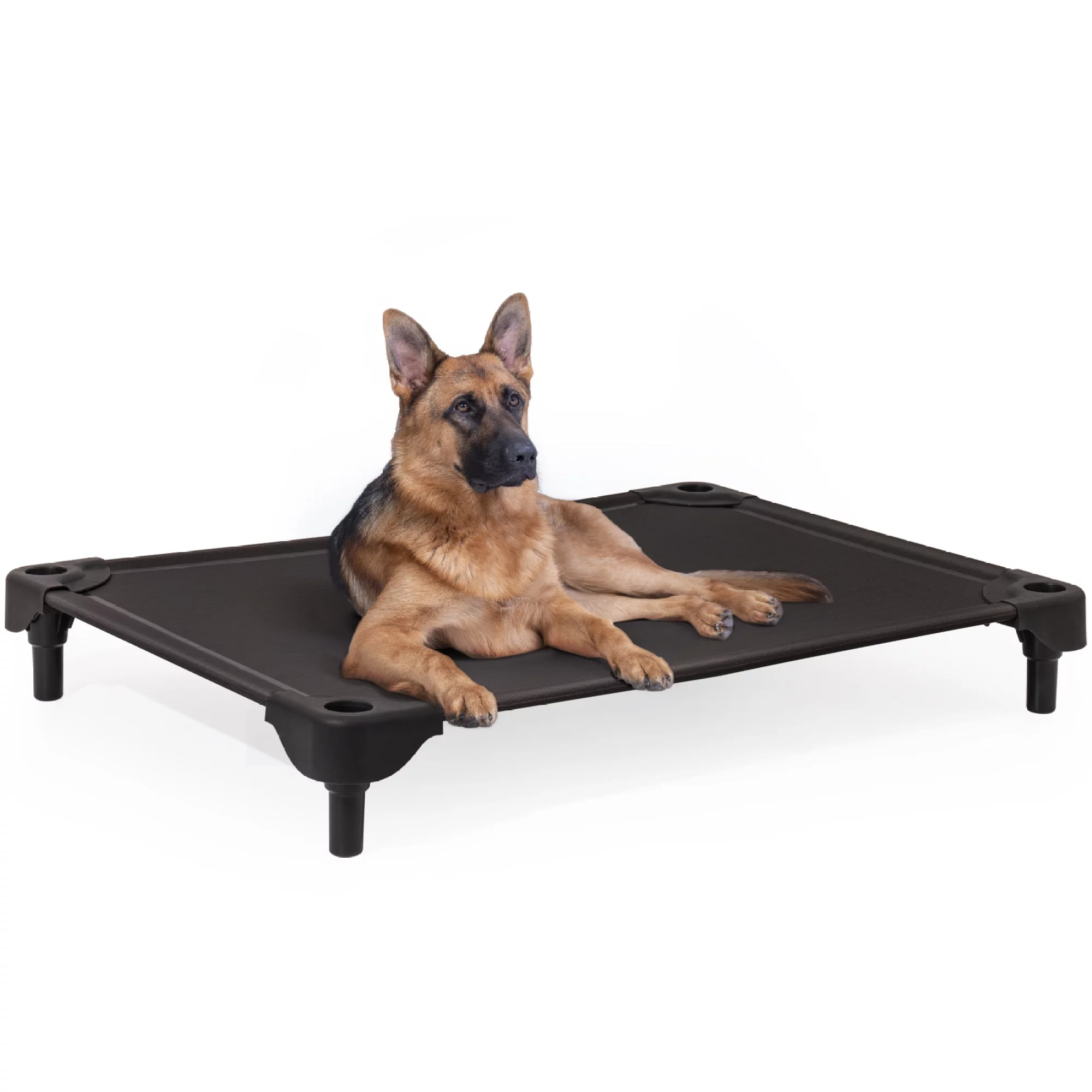 Dawn Whisper Elevated Dog Bed for Large Dogs Indoor & Outdoor Pet with Breathable Mesh