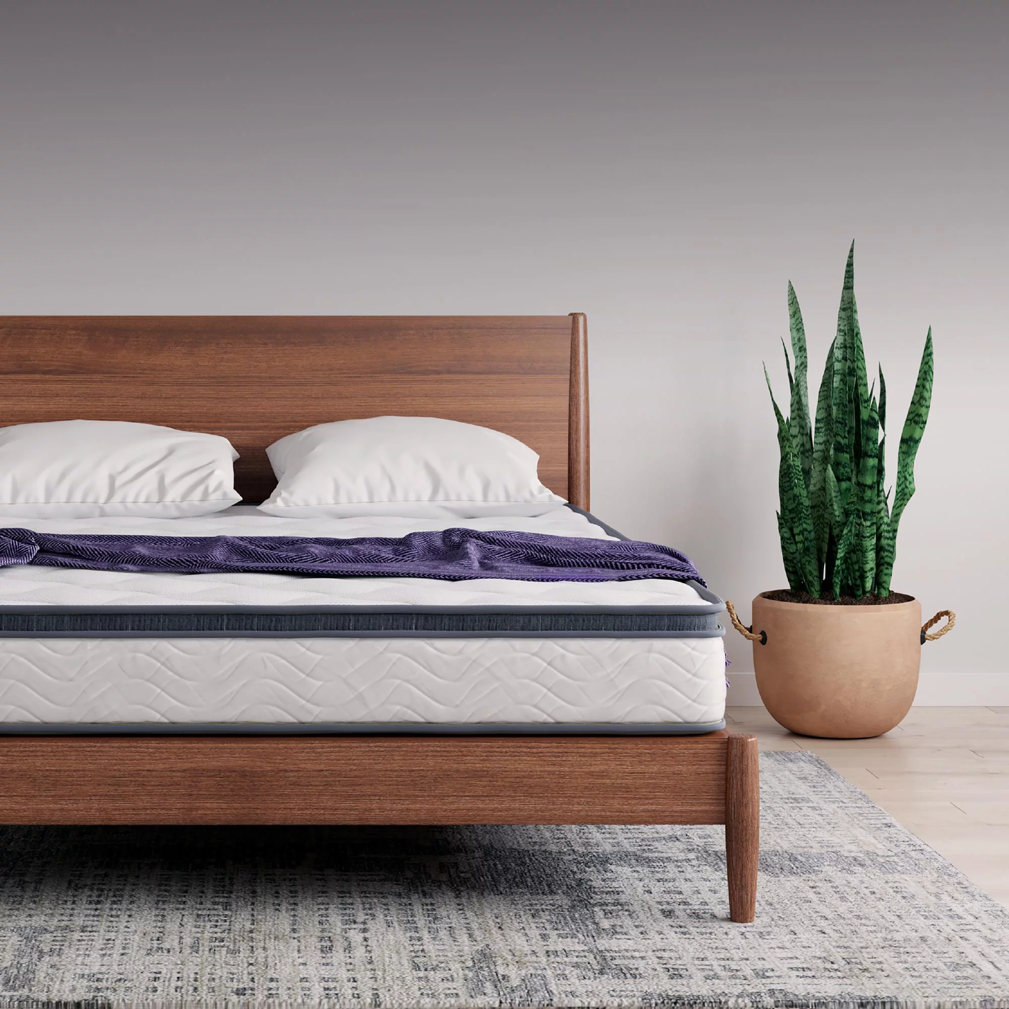 Signature Sleep Essential 8