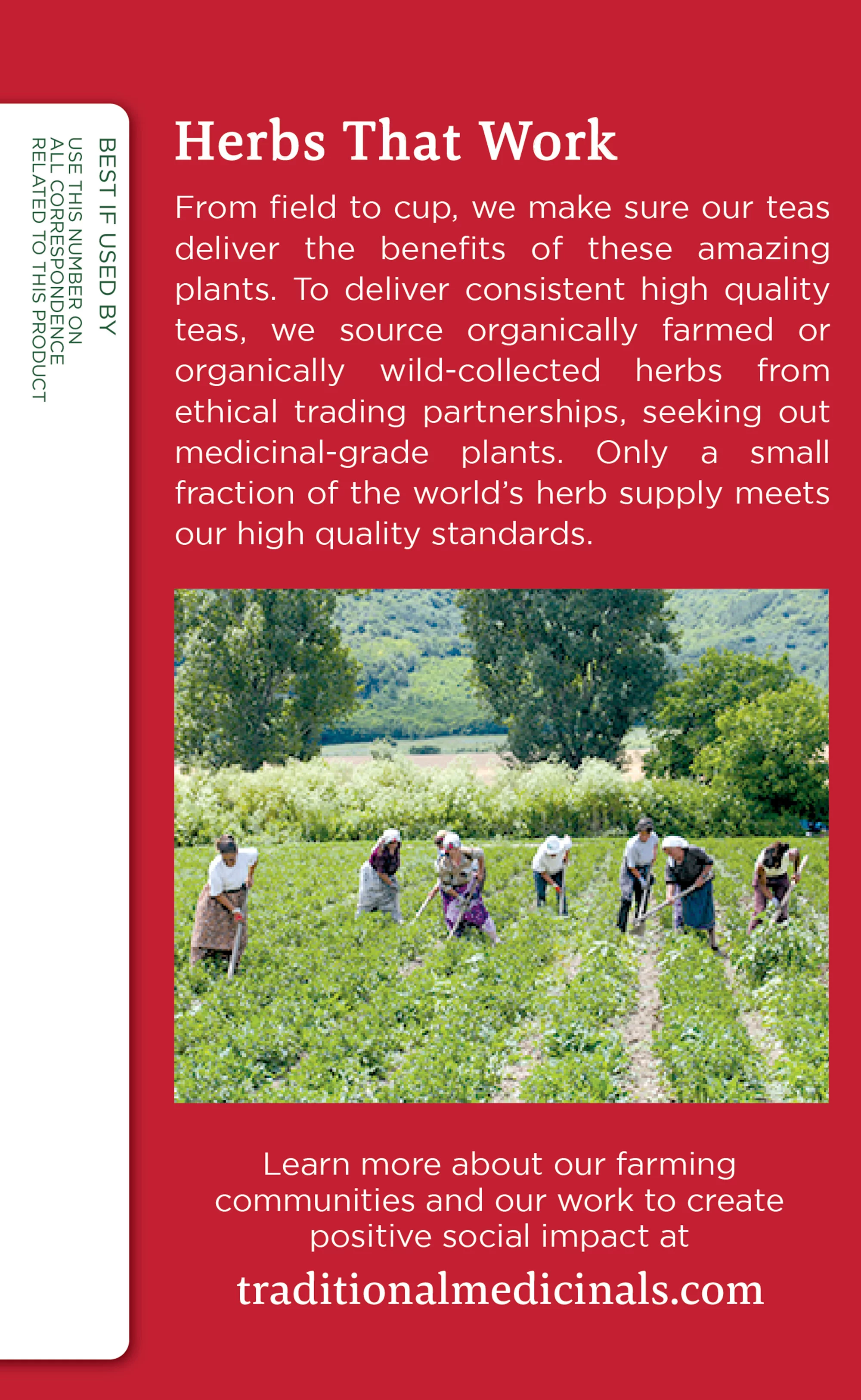 Traditional Medicinals Tea Cold Season Sampler Variety Pack (3 ct)