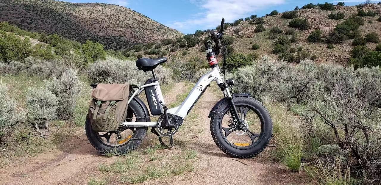 HAOQI Antelope Silver Electric Bike for Adults 48V 25AH Removable Dual Lithium Battery, 500W BAFANG Motor, 20