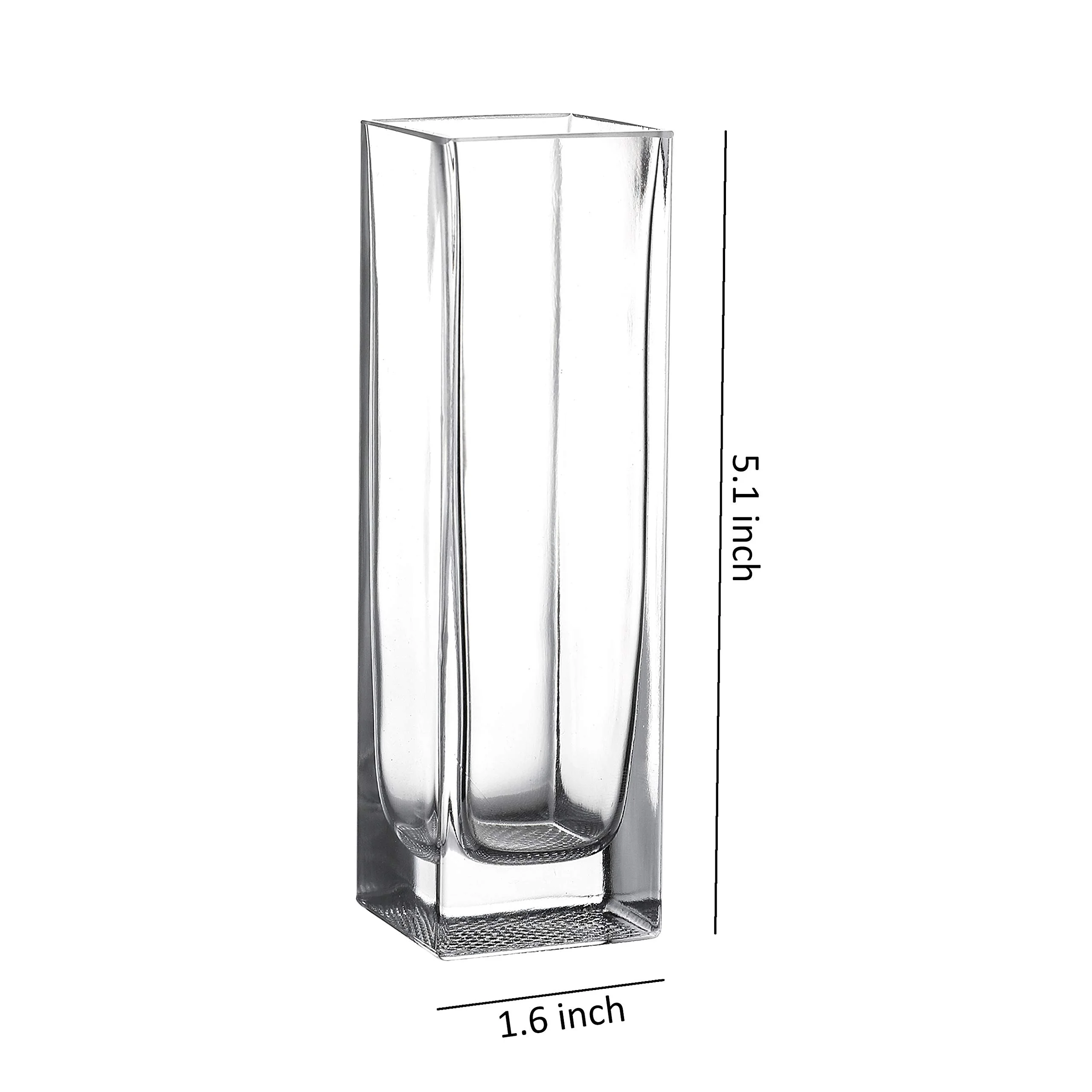 WHOLE HOUSEWARES Clear Glass Square Vase Set of 6 - 1.5x5inch Size for Elegant Floral Arrangements
