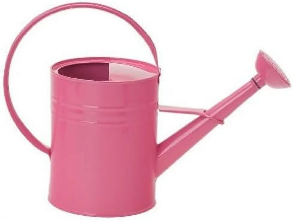 Houston International 8582E HPK 1-Gallon Steel Watering Can, Hot