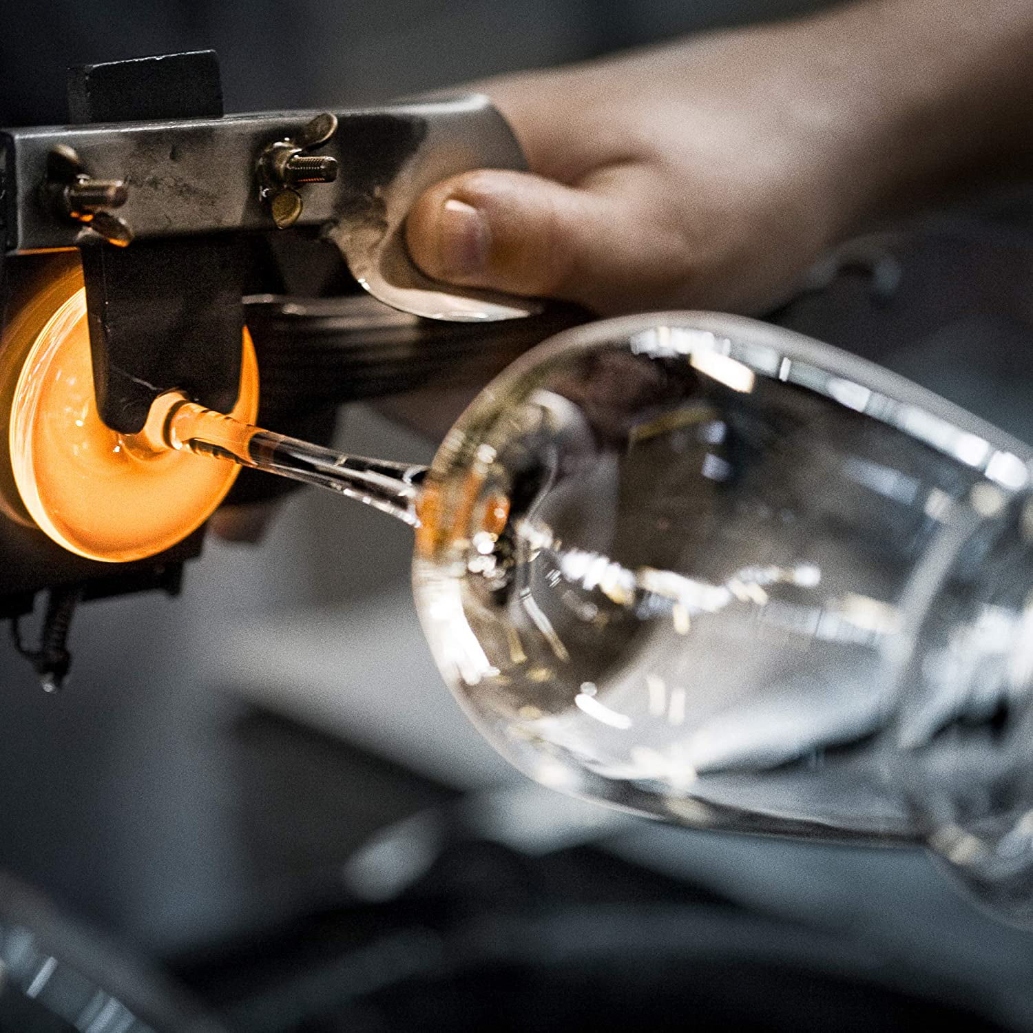 MRU Intermezzo 7 Ounce Champagne Flute, 1 Count (Pack of 1), Clear/Blue