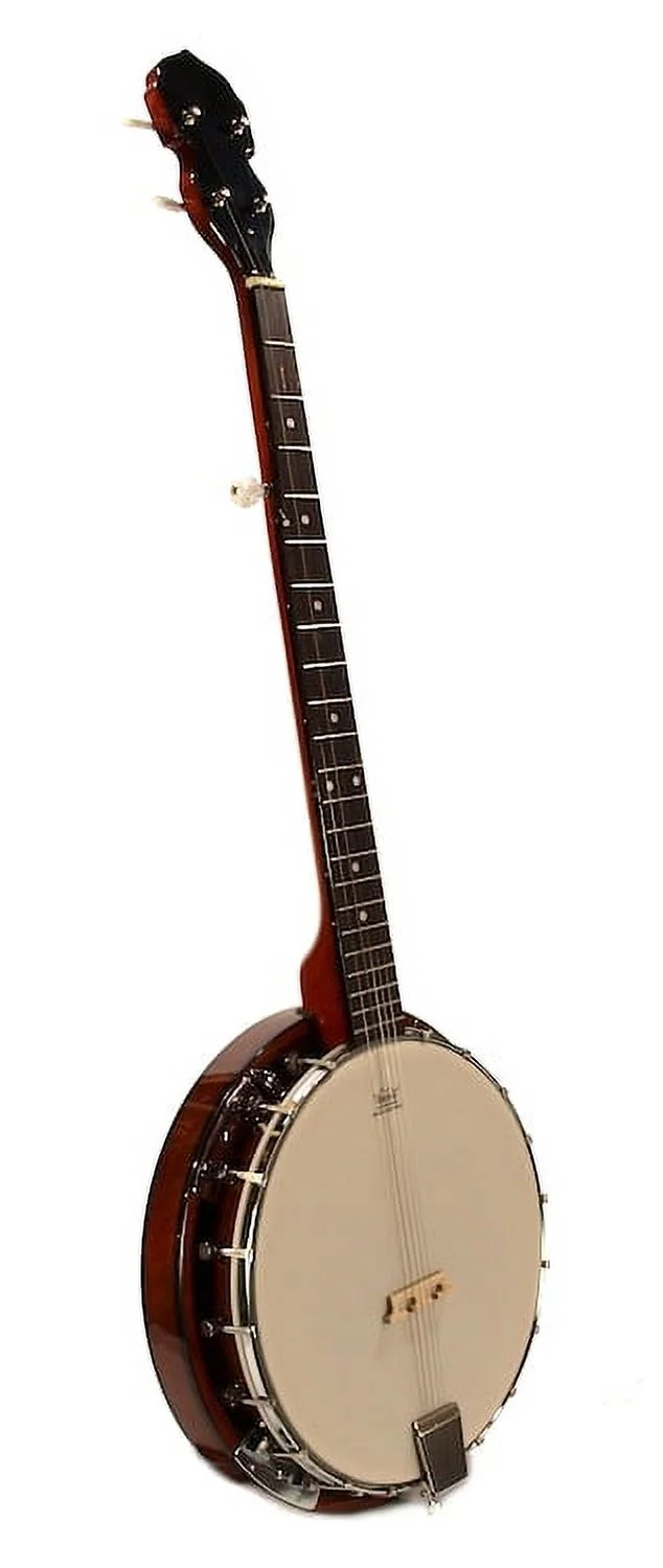 5-String BANJO - REMO Head 38