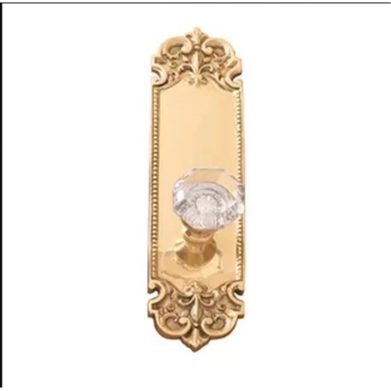 Brass Accents D04-K324G-HTF-609 2.37 in. Antique Brass Fleur De Lis Plate Privacy Set