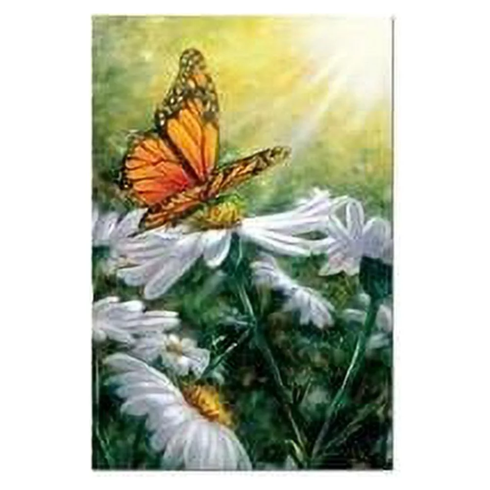 Tree-Free Greetings All Occasion Greeting Card 12 Pack, 100% Recycled Paper, 4x6, Rays of Light (FS66503)