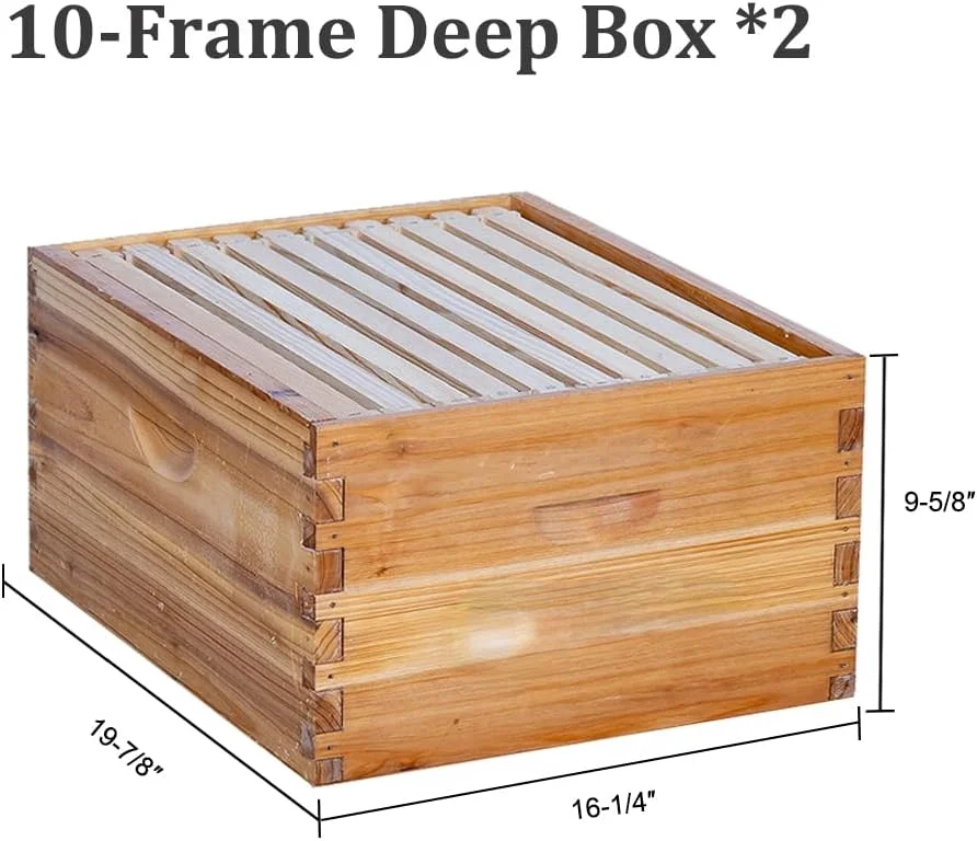 10 Frame Langstroth Bee Hive Coated with 100% Beeswax Includes Beehive Frames and Waxed Foundations (2 Deep Boxes & 1 Medium Box)