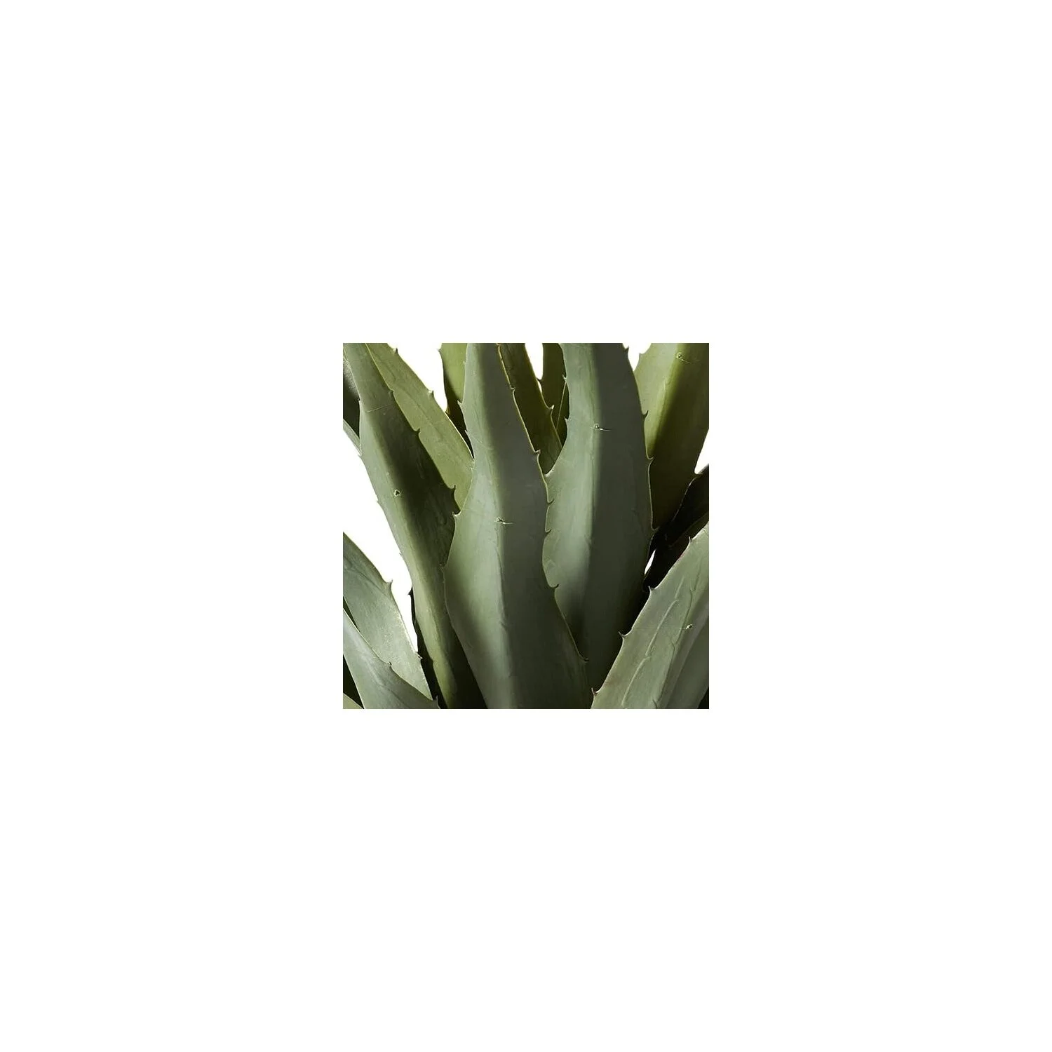 HomeStock Modern Minimalism W/Black Planter