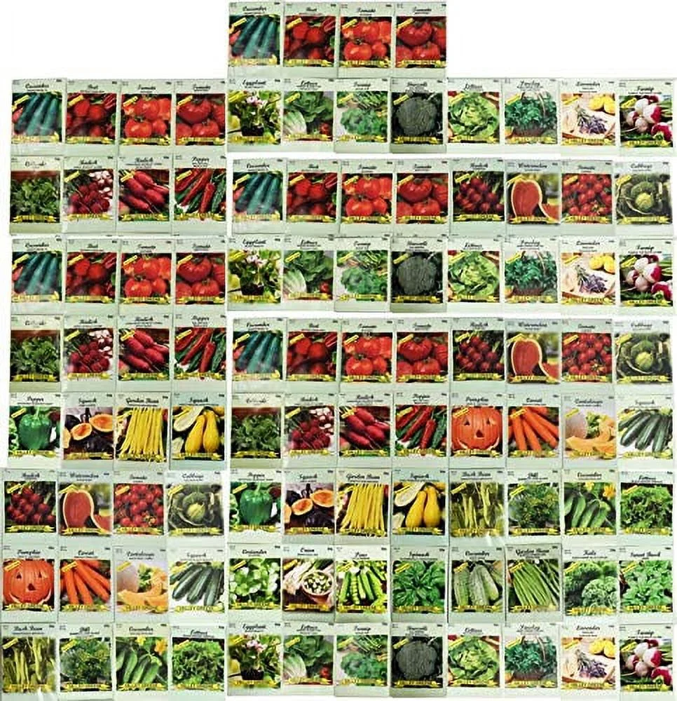 100 Assorted Heirloom Vegetable Seeds 100% Non-GMO (100, Deluxe Assorted Vegetable Seeds)