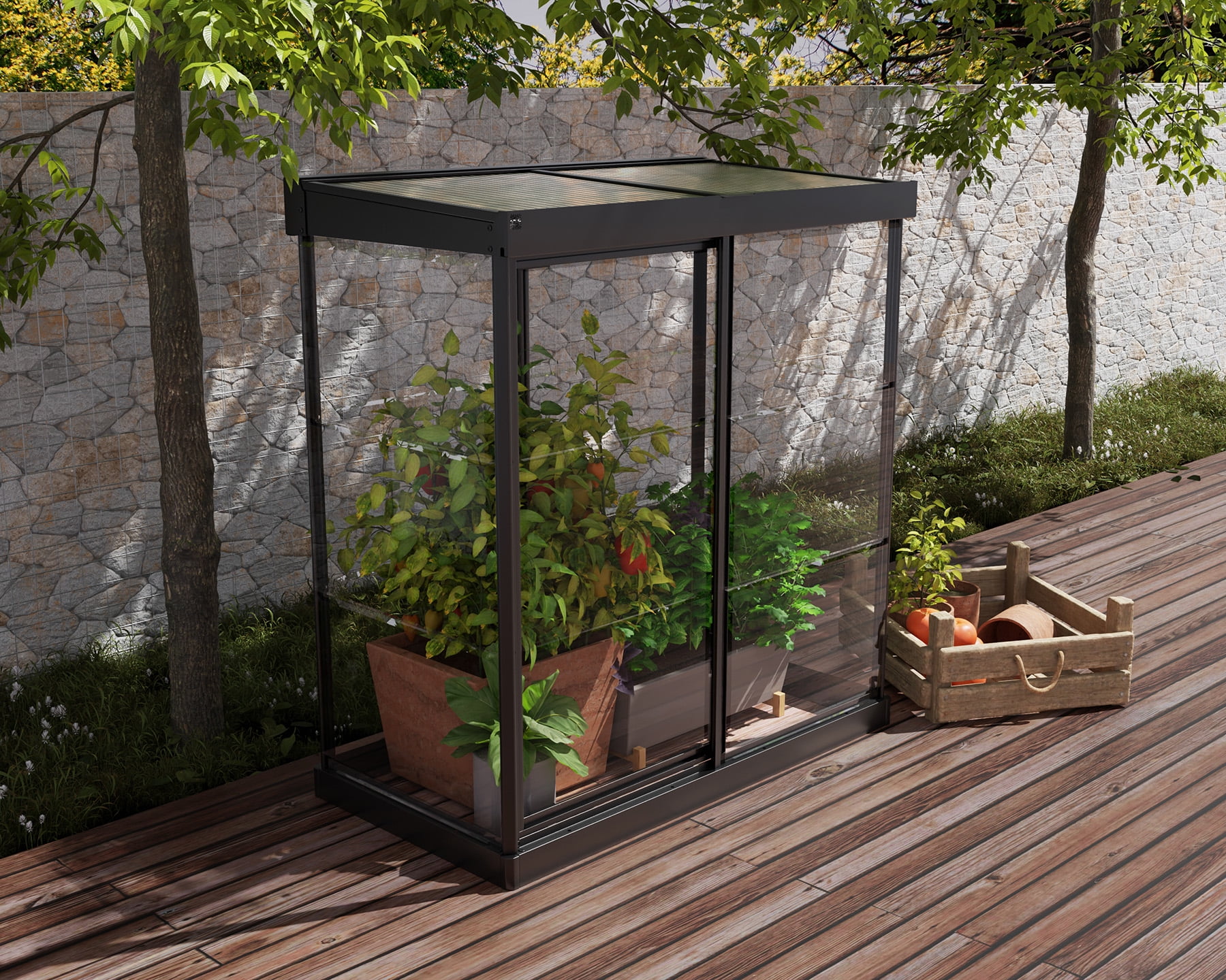 Palram - Canopia Ivy 4' x 2' Polycarbonate/Aluminum Mini Greenhouse - Black
