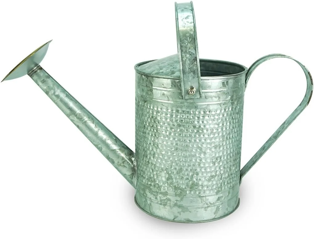 Home & Garden MPT01191 Jameson Metal Watering Can, 1 Gallon, Galvanized