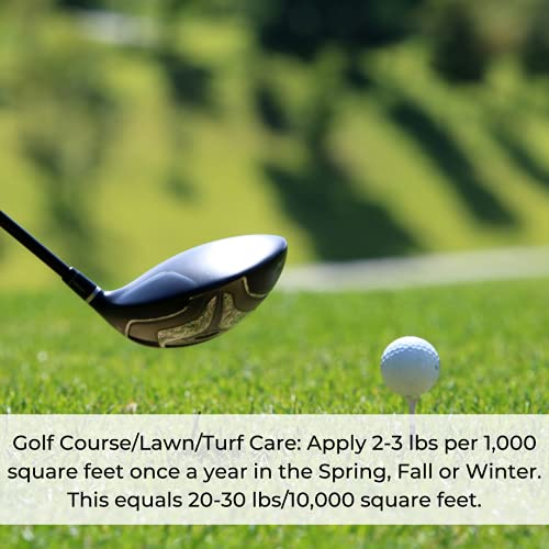 20 Pound Granular AZOMITE by The Seed Supply - Natural Trace Mineral Granulated Fertilizer