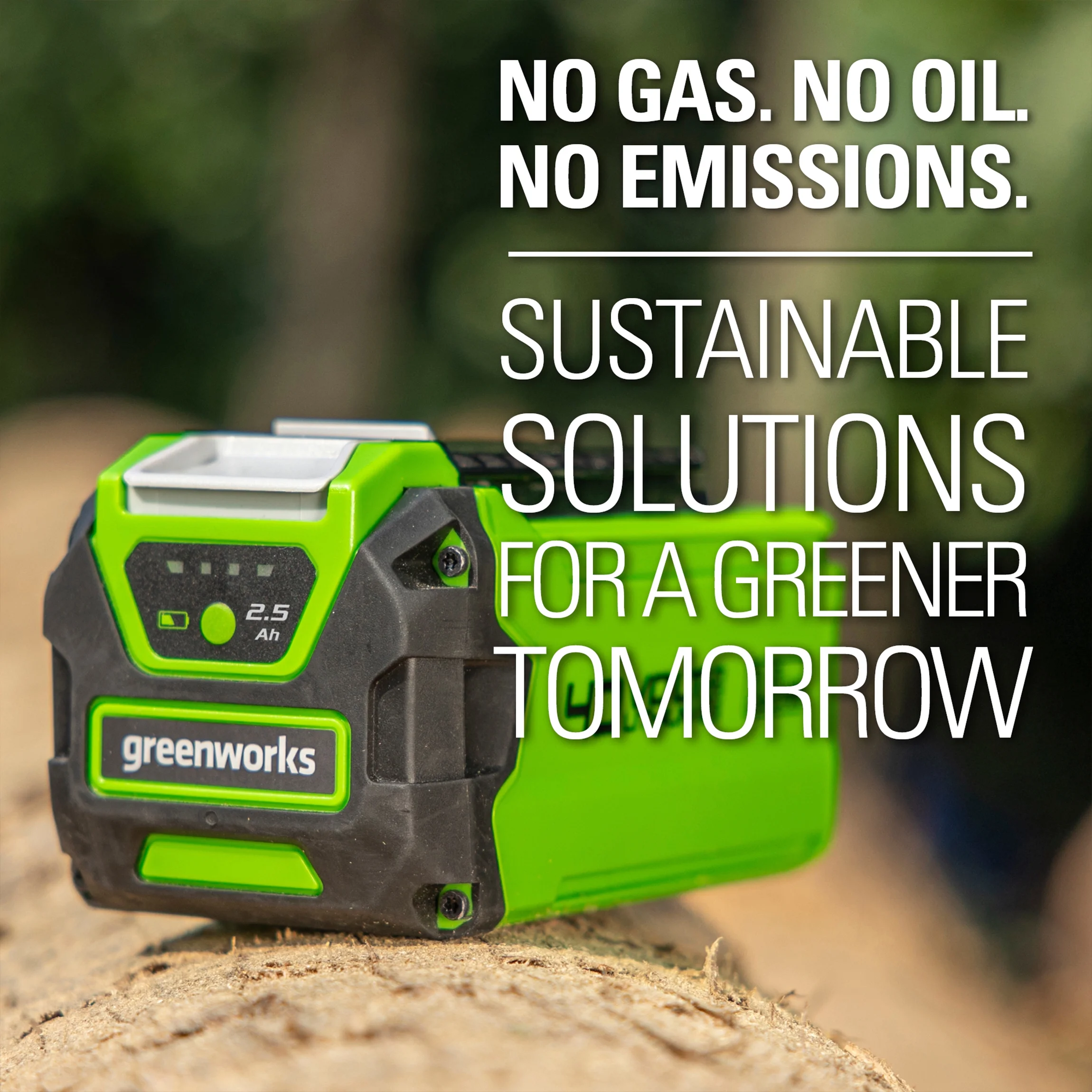 Greenworks 40V 2.5 Ah Battery, 2938402