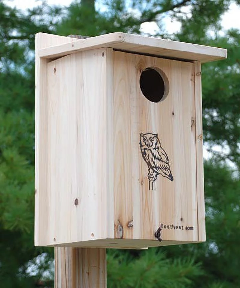 BestNest Premium Screech Owl / Kestrel House