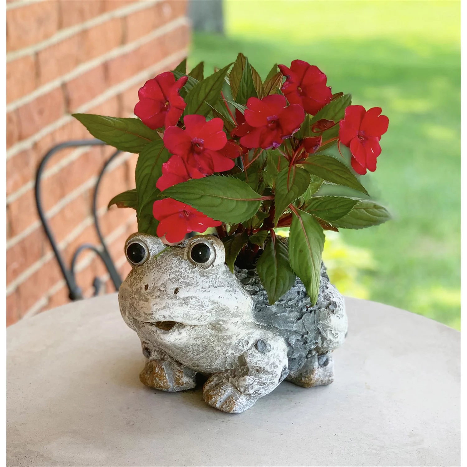 Red Carpet Studios Planter Frog Stone Small