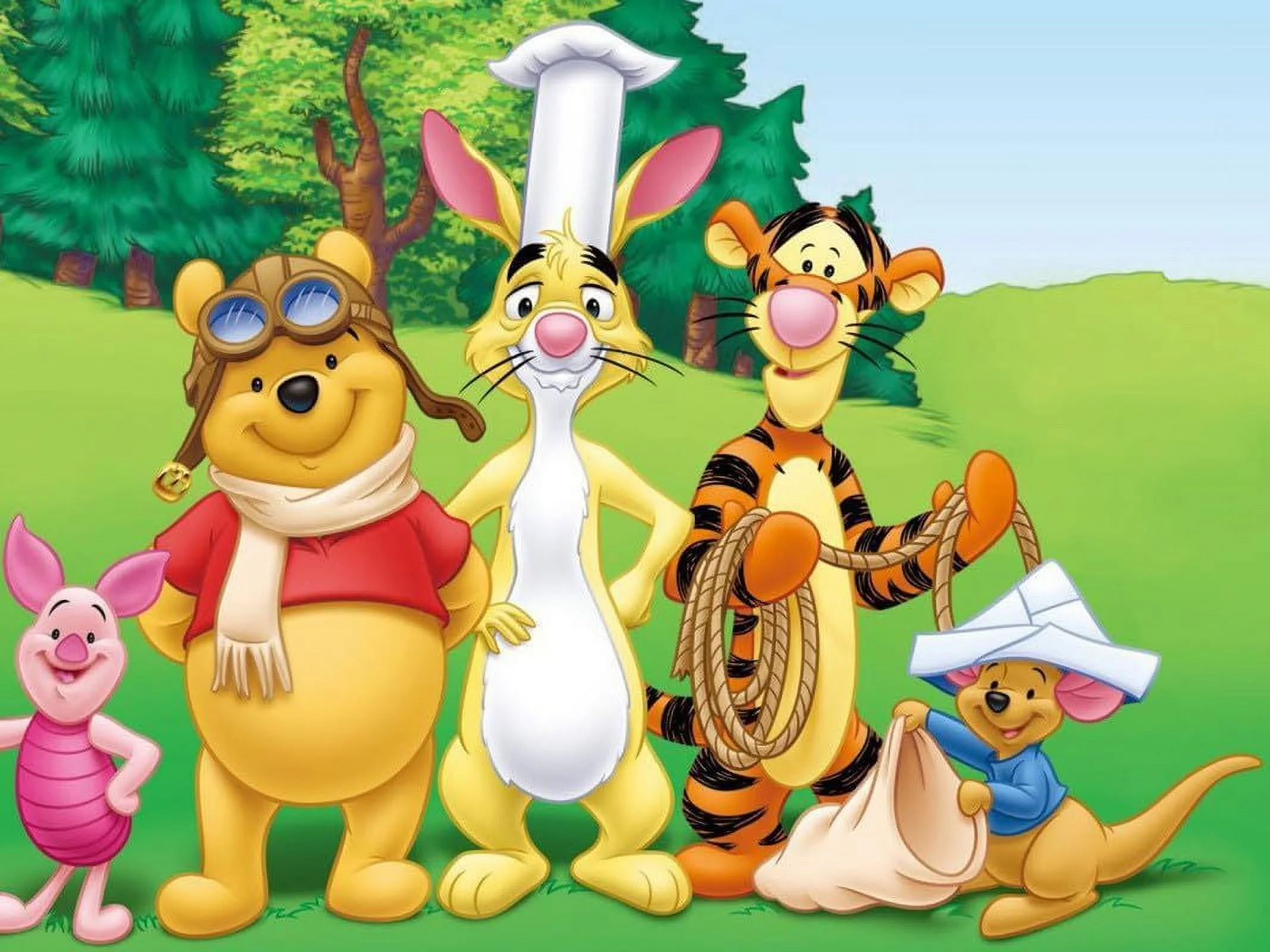 Winnie the Pooh Diamond Art DIY 5D Diamond Painting Kits for Adults and Kids Full Drill Arts Craft by Number Kits for Beginner Home Decoration 12x16 inch