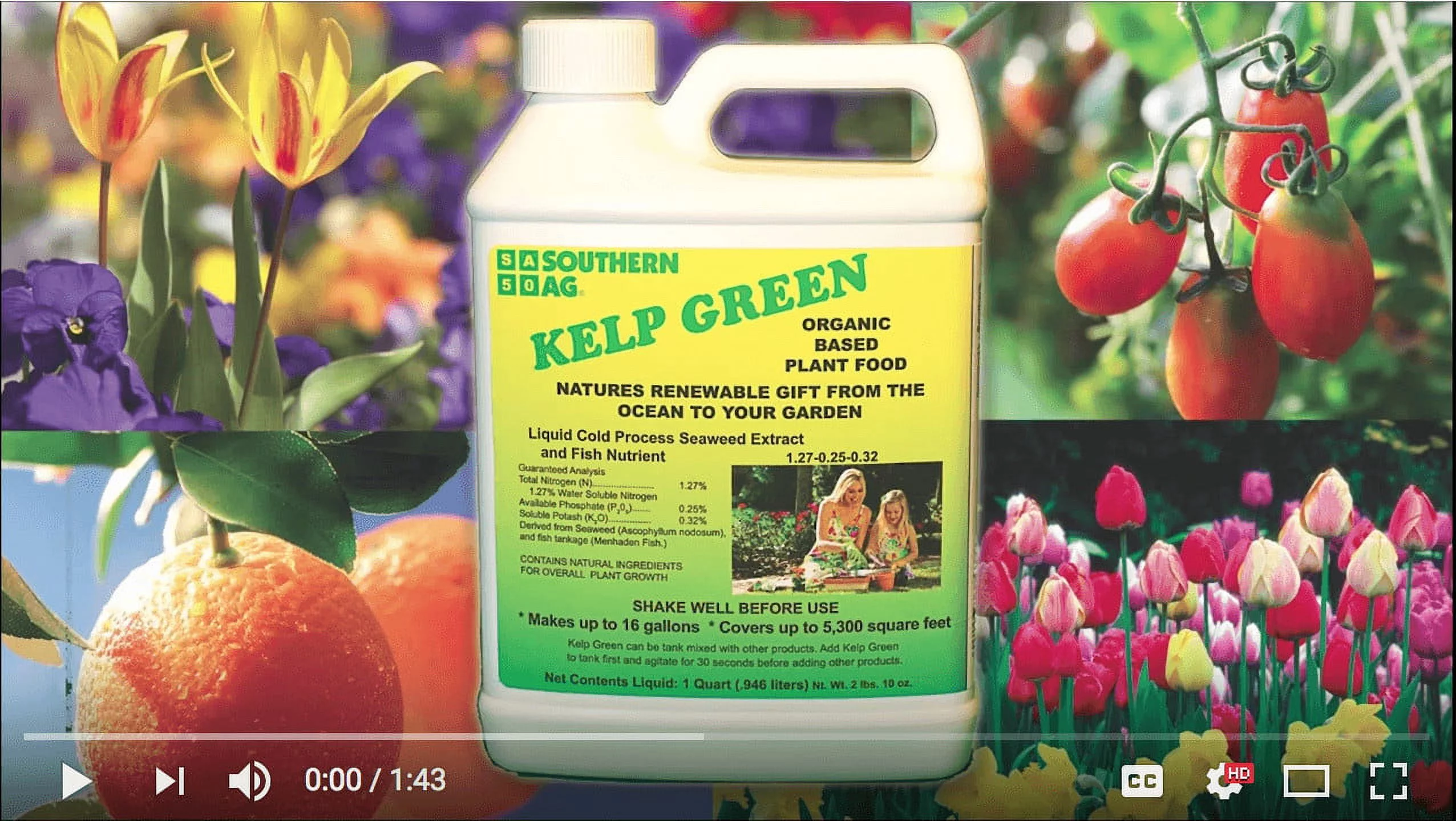 Kelp Green All Natural Liquid Fertilizer - 1 Quart