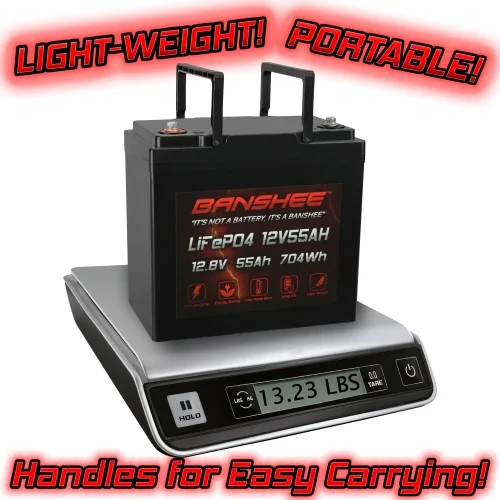 Banshee Li-Iron LiFePO4 12V 55AH Rechargeable Lithium Battery 1280 Wh with Built in BMS Deep Cycle Battery with M6 Insert Terminals
