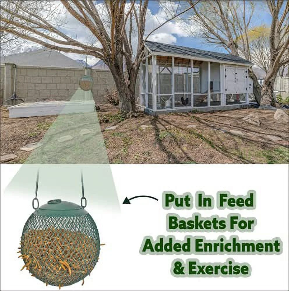 Exotic Nutrition Dried Mealworms 5 lb.