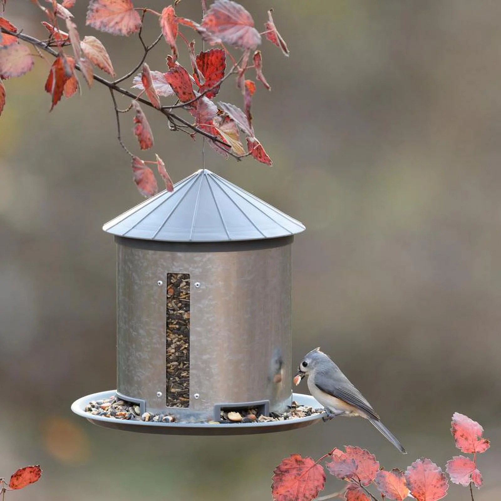More Birds 7 lb. capacity Metal Bird Feeder