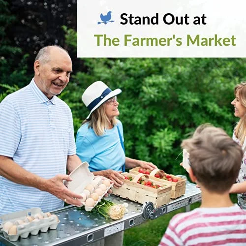 Blank 12-Egg View Top Paper Pulp Egg Carton - Bulk Egg Cartons (50)