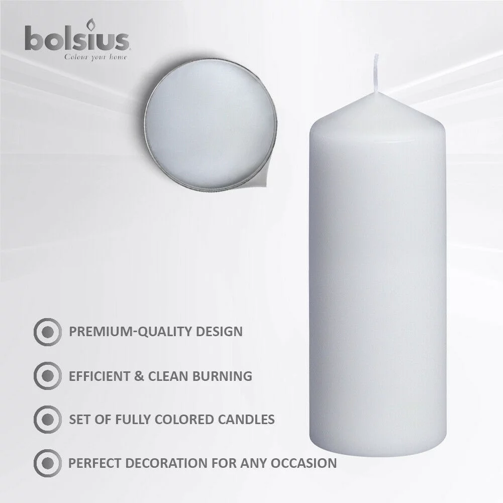 Bolsius 10 White Pillar Candles 2.25