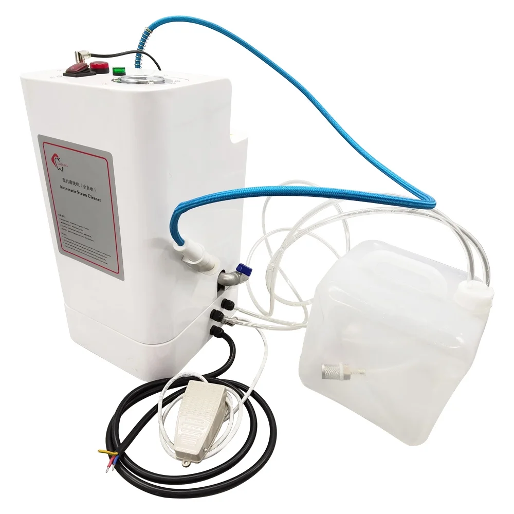 Automatic Steam Cleaner High Pressure Steam Cleaning Machine for Jewelry Dental Small Parts 220V 3KW