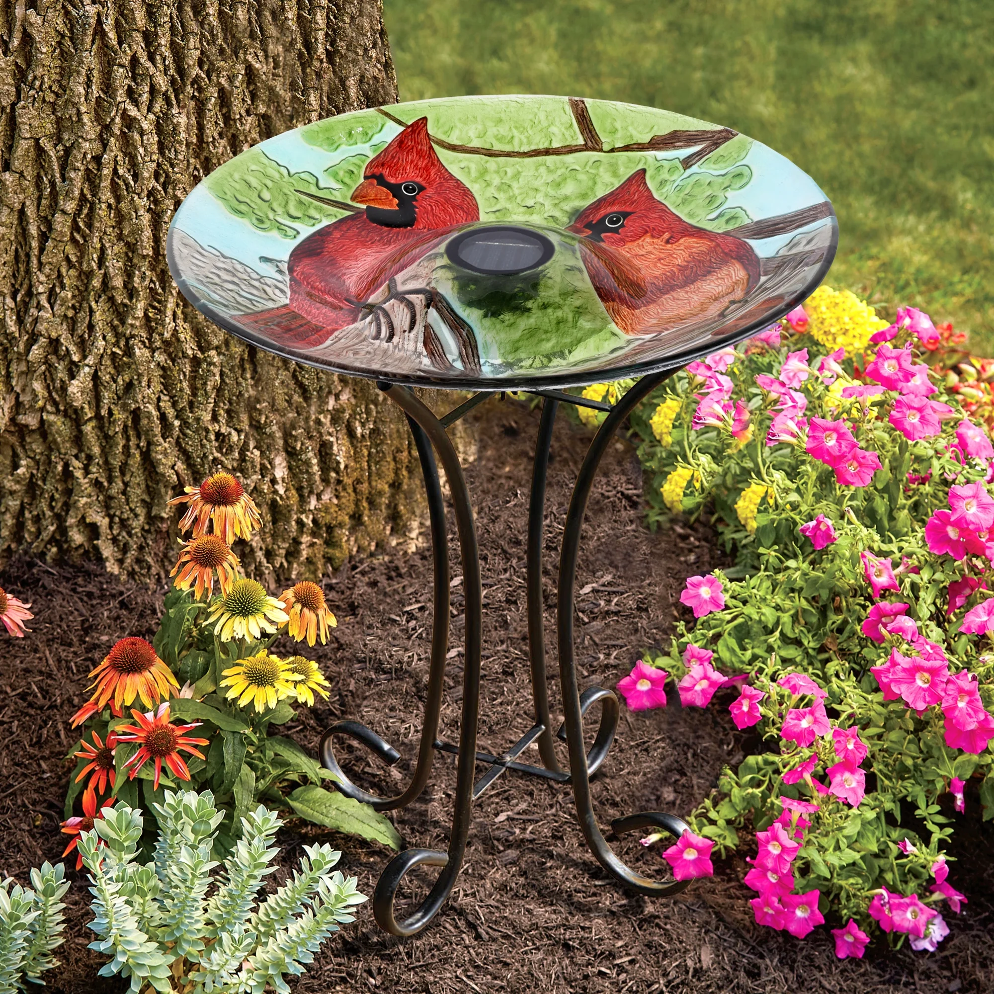 Hi-Line Gift Solar Led Floral Glass Bird Bath with Stand - Cardinal