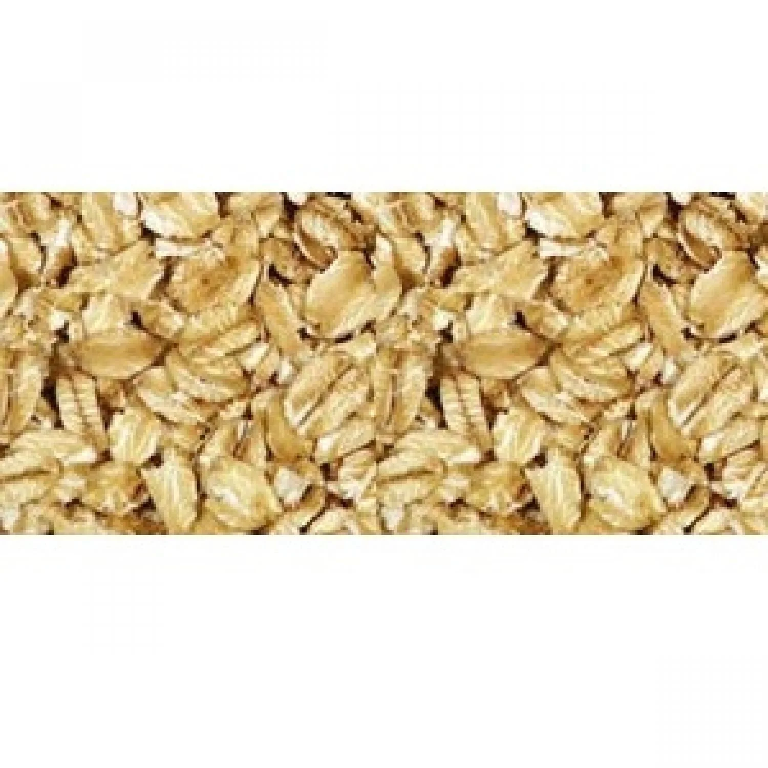 Regular Rolled Oats (25 Pound Bag) Non-GMO by Grain Millers