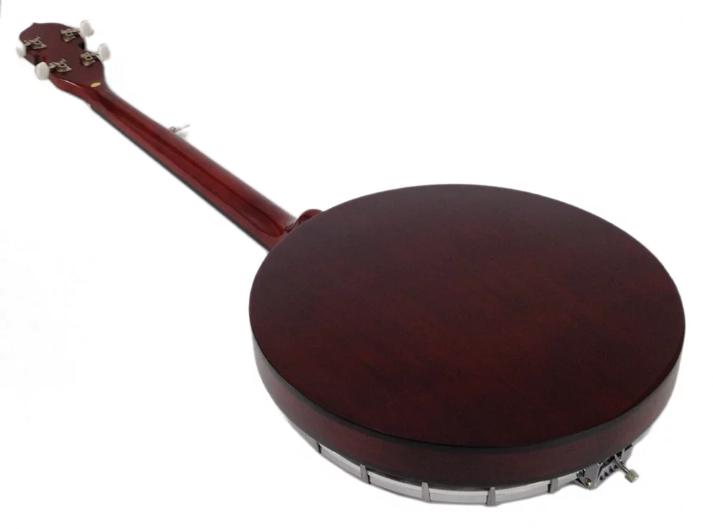 5-String Banjo - in Hard Case Remo Head 38