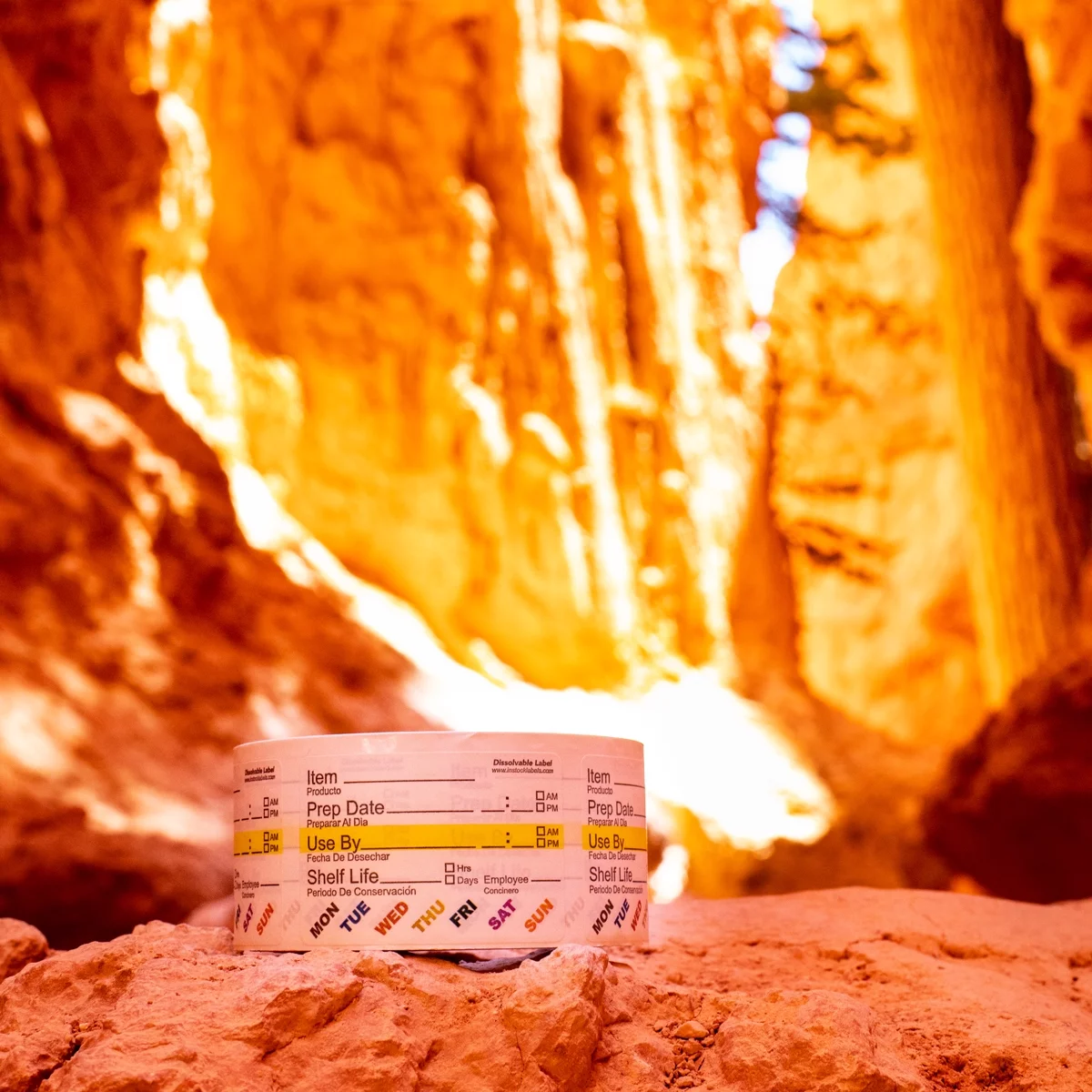 Dissolvable Food Rotation Prep White Adhesive Labels | 2 x 3