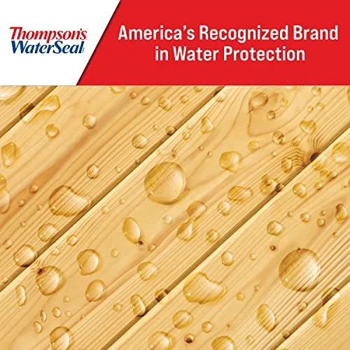 Thompson’s WaterSeal Multi-Surface Waterproofer Stain, Clear, 1 Gallon