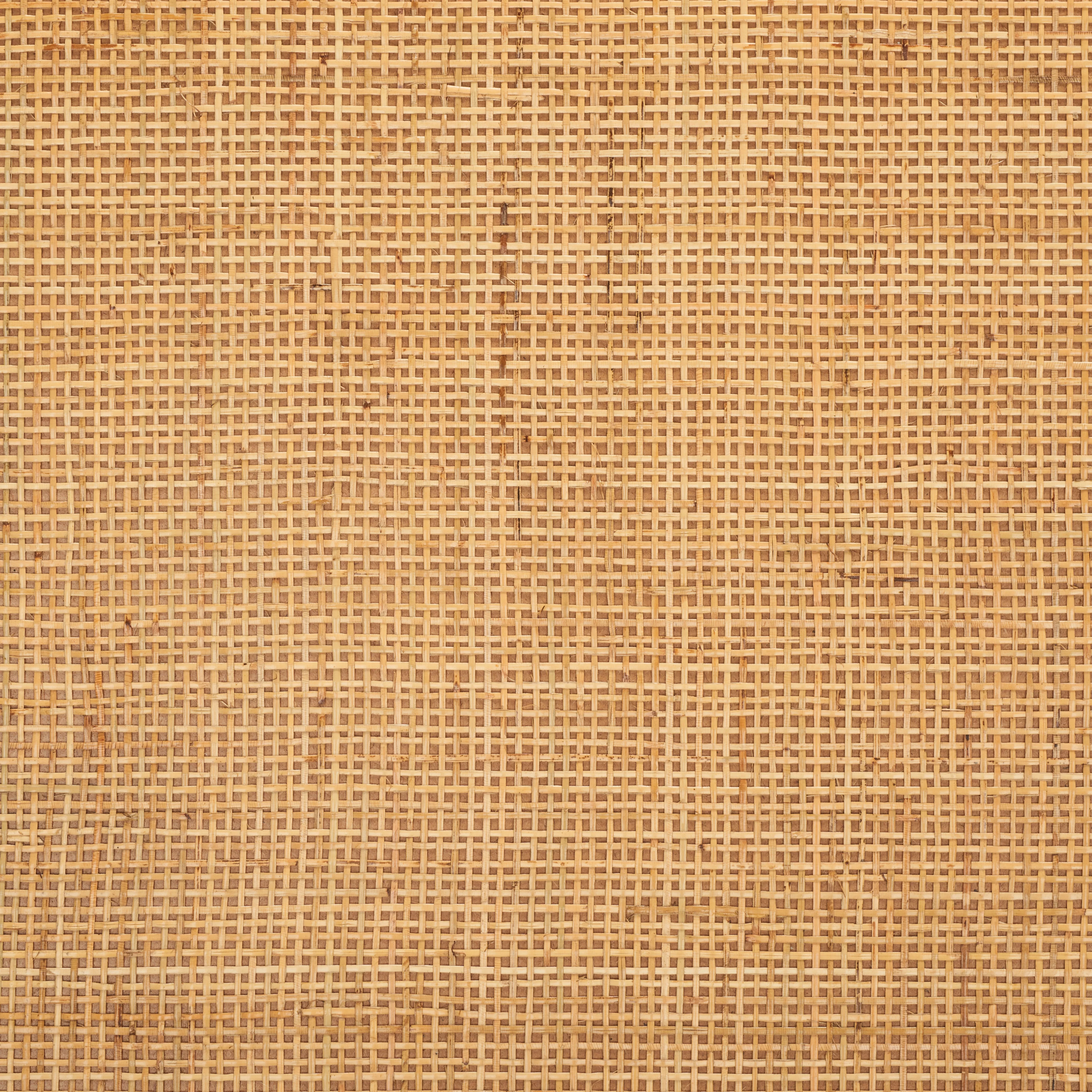 SAFAVIEH Juri Coastal Rectangle Coffee Table, Natural