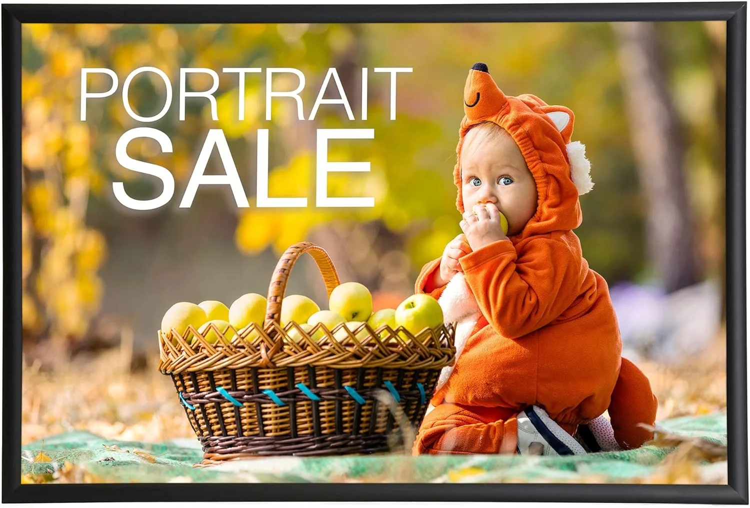 Aluminum Snap Frame, Front Loading Pictures Frame, 24