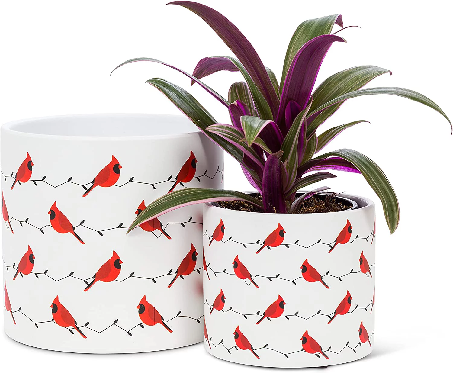 Large Allover Cardinal Planter