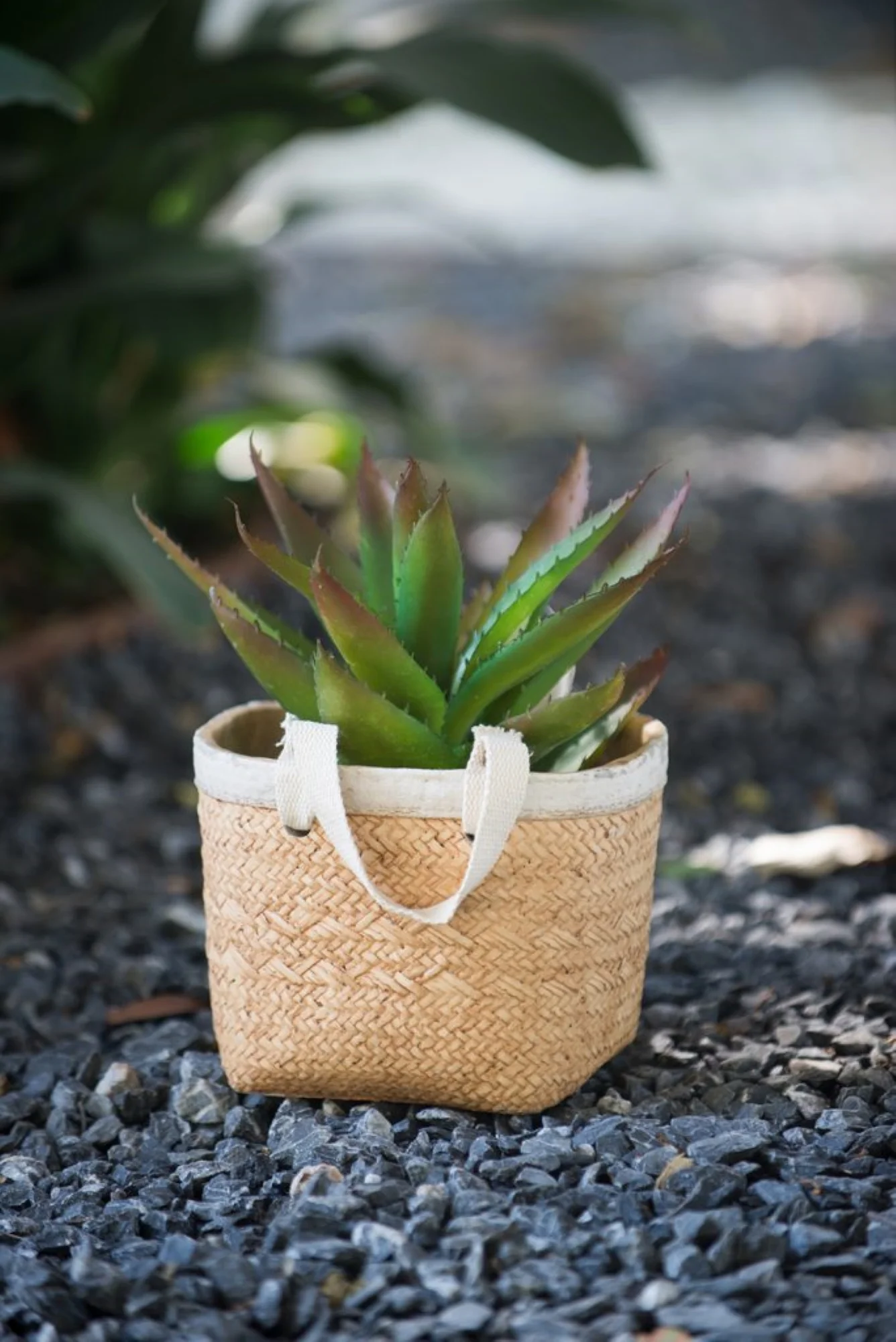 CC Home Furnishings Woven Basket Cement Planters with Cotton Handles - 8.5