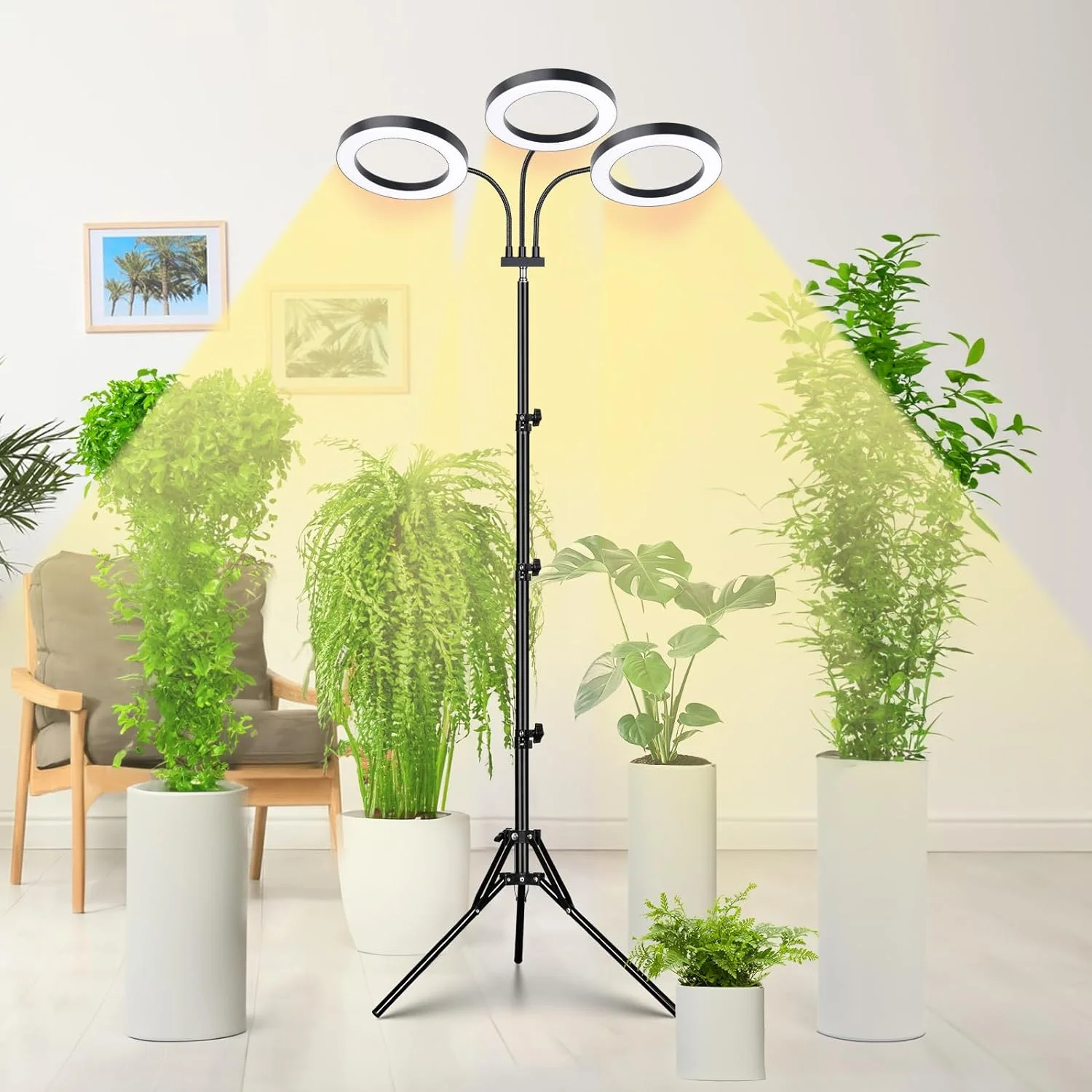 Grow Light for Indoor Plants, Tri-Head Plant Light for Plants Growing, Full Spectrum Growth Lamp with Auto Timer for 4/8/12H, 4 Dimmable Levels, 216 LEDs, Height Adjustable Stand 24.4