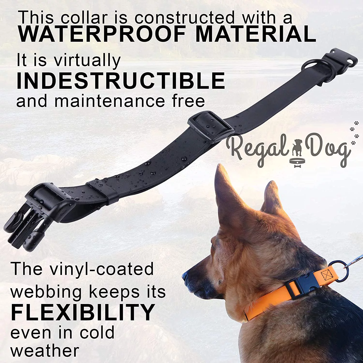 Regal Dog Products Custom Fit Waterproof Dog Collar with High Strength Buckle & Heavy Duty Ring - Training Dog Collar